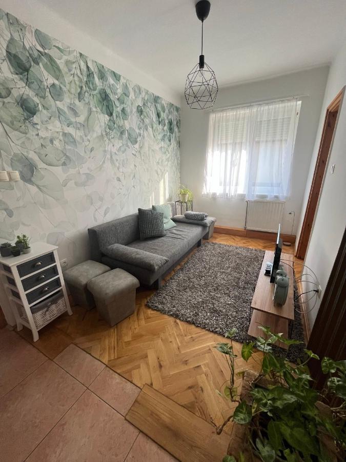 Luca Vendeghaz 1. Apartman Sárvár Exterior foto